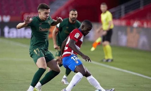 情感与专业 情感与专业