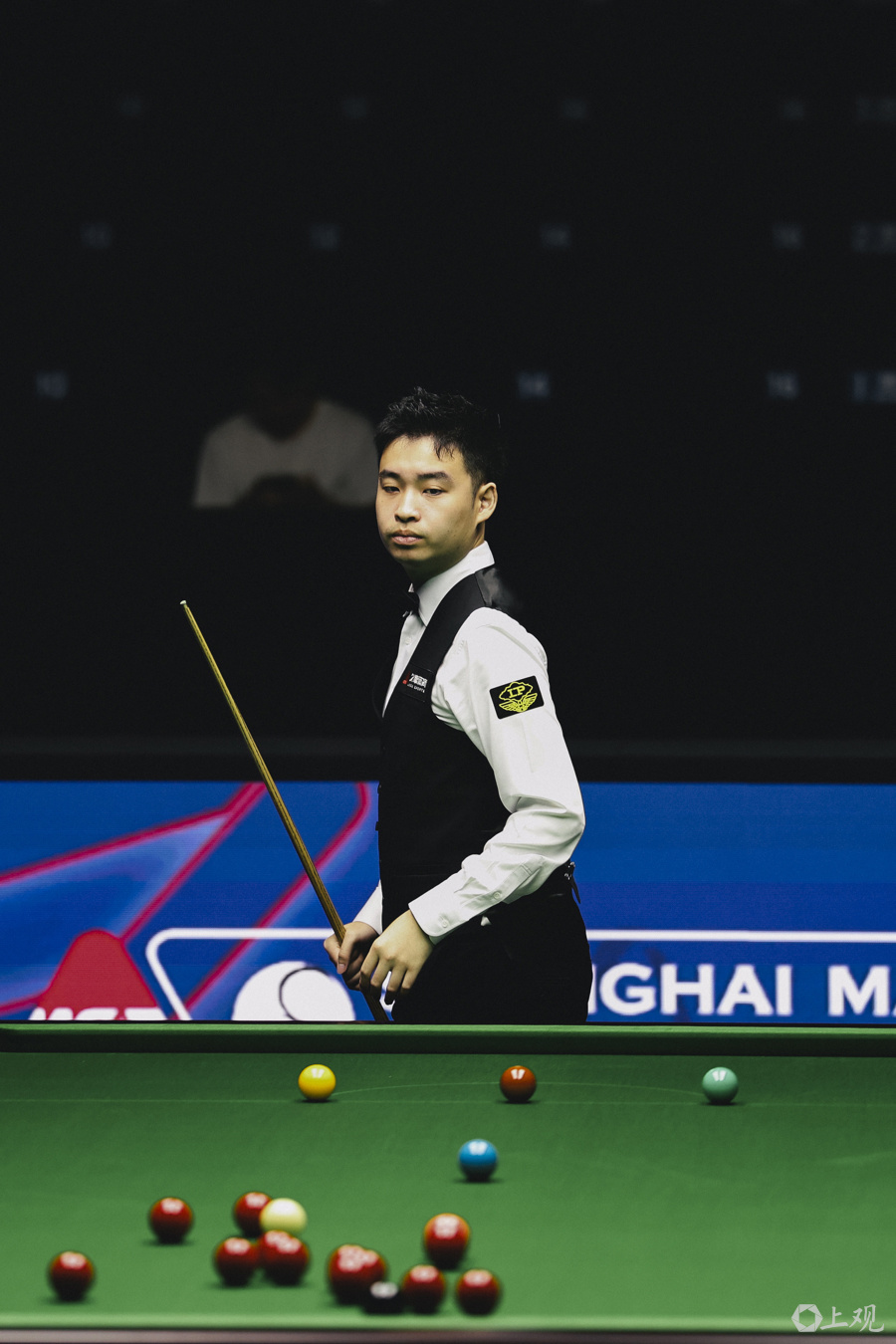 又能梳理球 又能梳理球