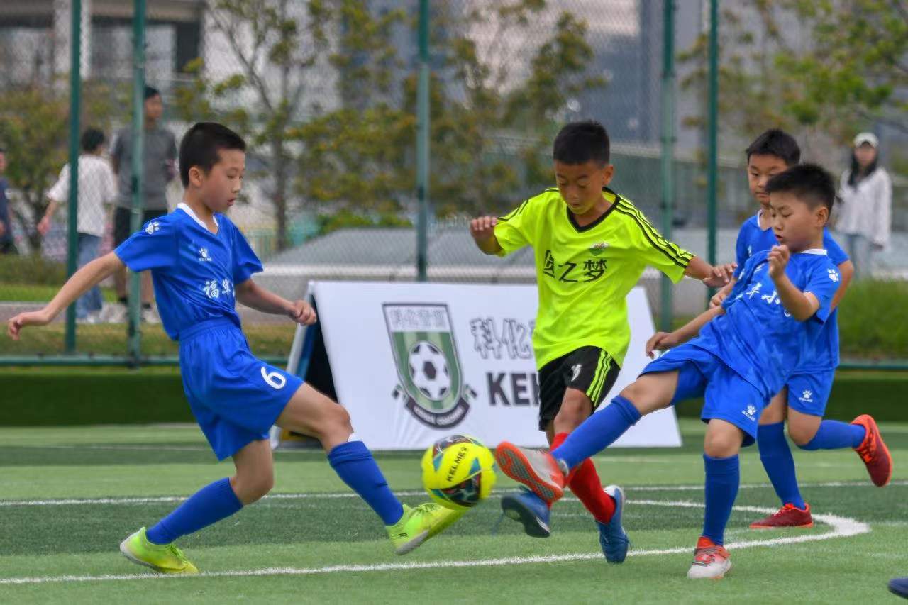 有氧能力与 有氧能力与