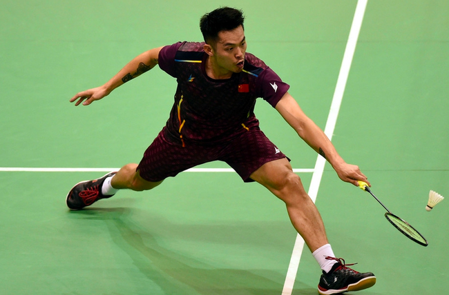 会为加盟中 会为加盟中